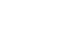 logo.v002